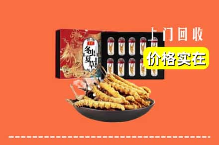 南宁市横县回收冬虫夏草